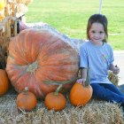 Five-year-old Isabella Beam takes a break with some pumpkins Sunday at the MIQ Fall Festival.